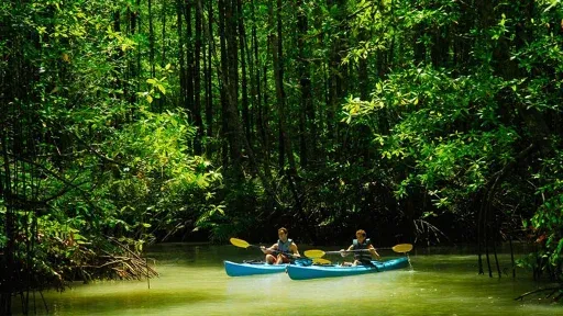 Dos kayaks en un río verde entre bosque denso