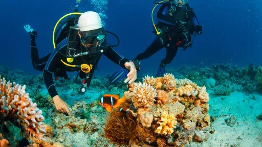 Dos buzos sobre un arrecife de coral