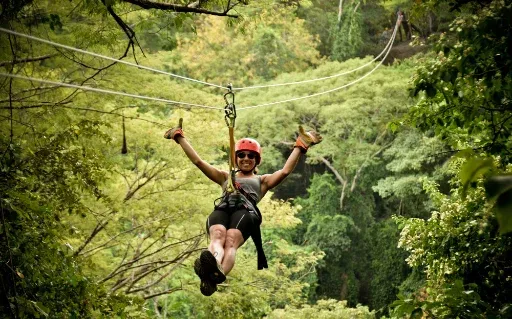 Una persona en un cable de canopy sobre el bosque